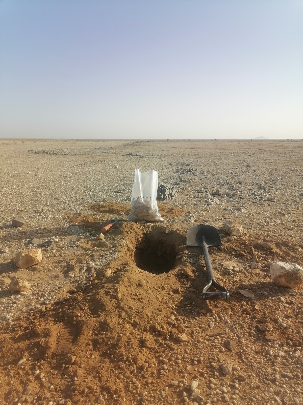 Alkhadarah Prospect Project